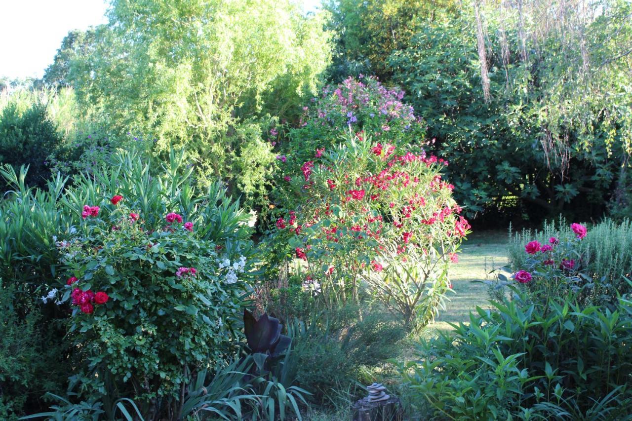 Mas Les Romarins, 10 Min D'Uzes, Piscine Et Grand Jardin Clos, Jeux, Nid De Repos Et Base Pour Activites Dans Le Gard (Adults Only) エクステリア 写真