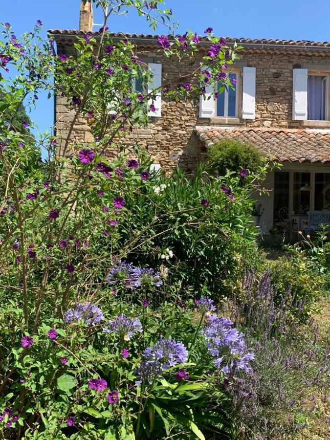 Mas Les Romarins, 10 Min D'Uzes, Piscine Et Grand Jardin Clos, Jeux, Nid De Repos Et Base Pour Activites Dans Le Gard (Adults Only) エクステリア 写真